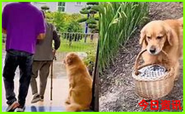 夏季避暑好去处推荐
